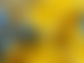 Dangerously Daffodil