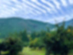 IMG_0063_edited.jpg