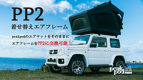 PP2着せ替えエアフレーム | peakpod/N.FACTORY