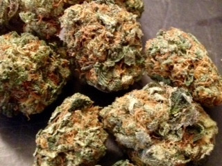 Tahoe OG