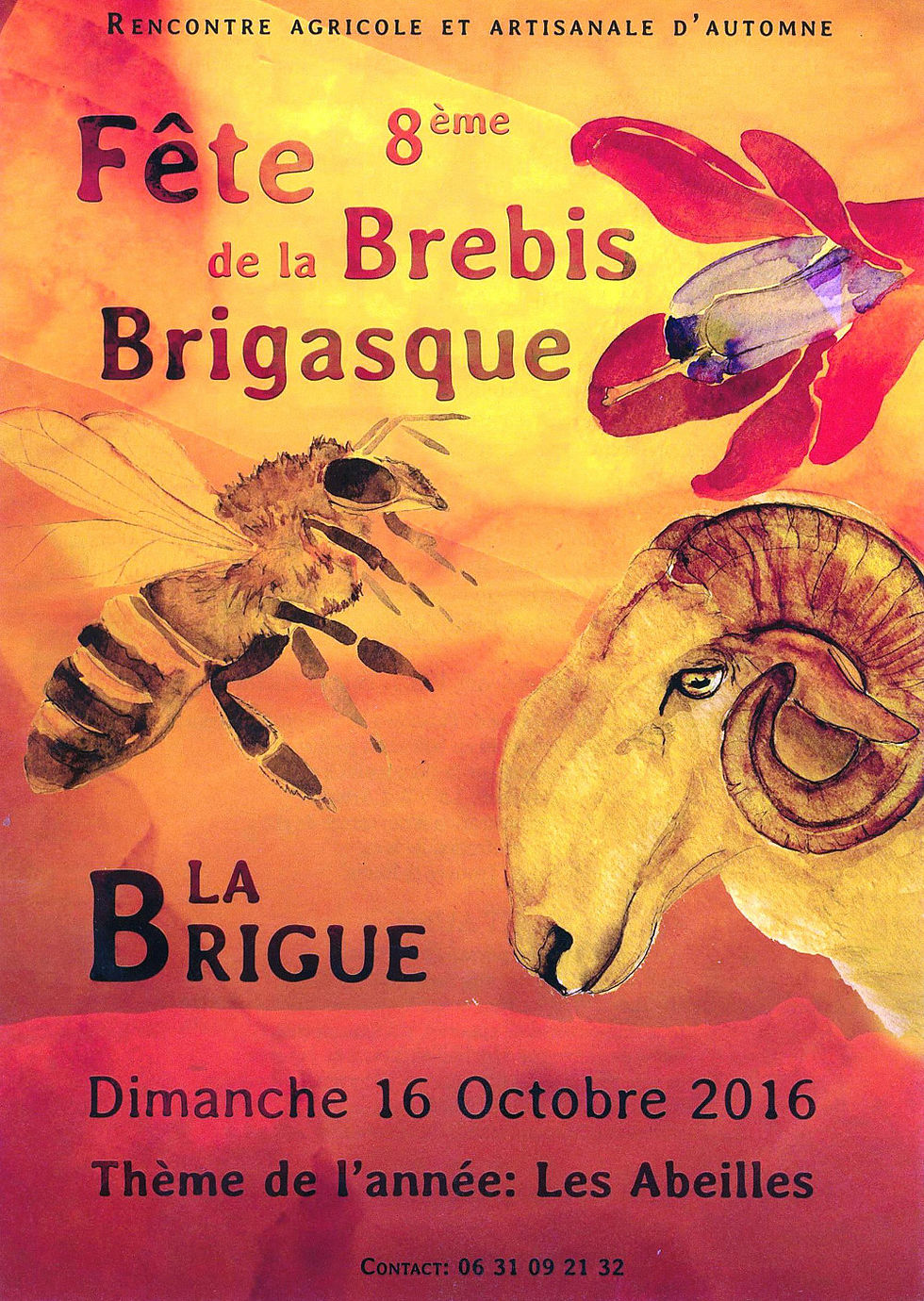 Fête-Brebis-Brigasque-2016