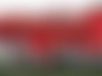 Nr. 3 in Folge! 🏆 Stadtmeistertitel auf heimischem Rasen