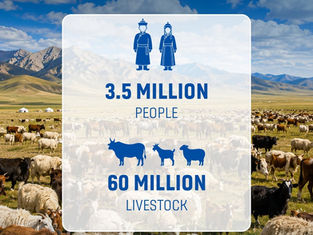 Mongolia’s Livestock Sector Potential