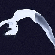 Scott Johnson's Tumble & Gymnastics Academy logo