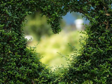 Heart-Walls