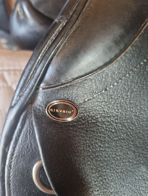 Thumbnail: Elevator Dressage 