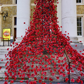 #PoppiesTour: We Will Remember Them