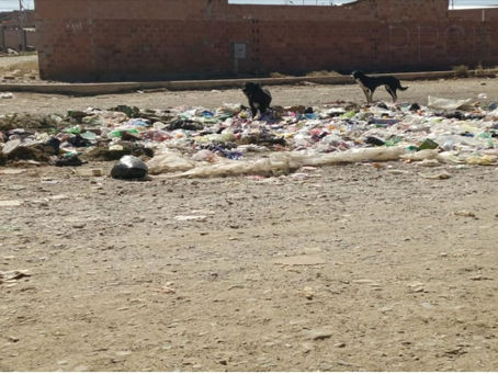 Vecinos de la zona Mariscal Santa Cruz de El Alto reclaman por la basura