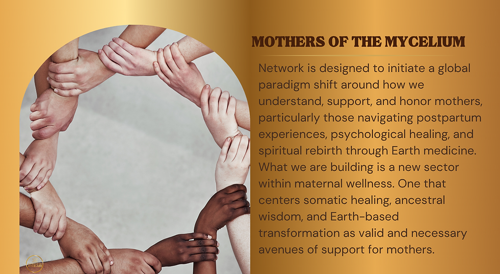 The MotherNet maternal wellness network supporting mothers through mental health, postpartum care, education, and community h