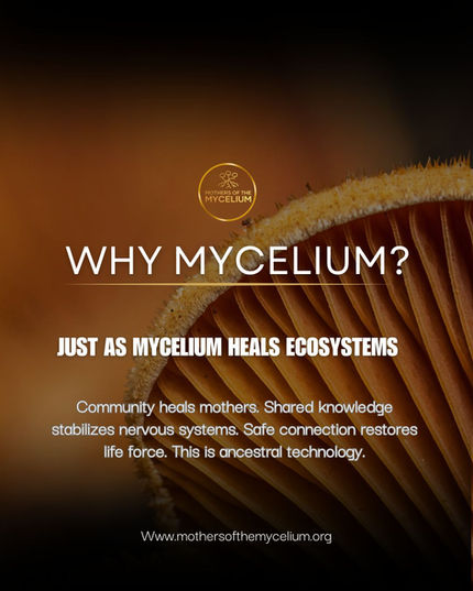 Warm-toned mushroom image with text explaining that community heals mothers, shared knowledge stabilizes nervous systems, and safe connection restores life force.