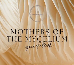 MOTHERS OF THE MYCELIUM Guidebook