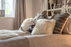 Shingler Homes