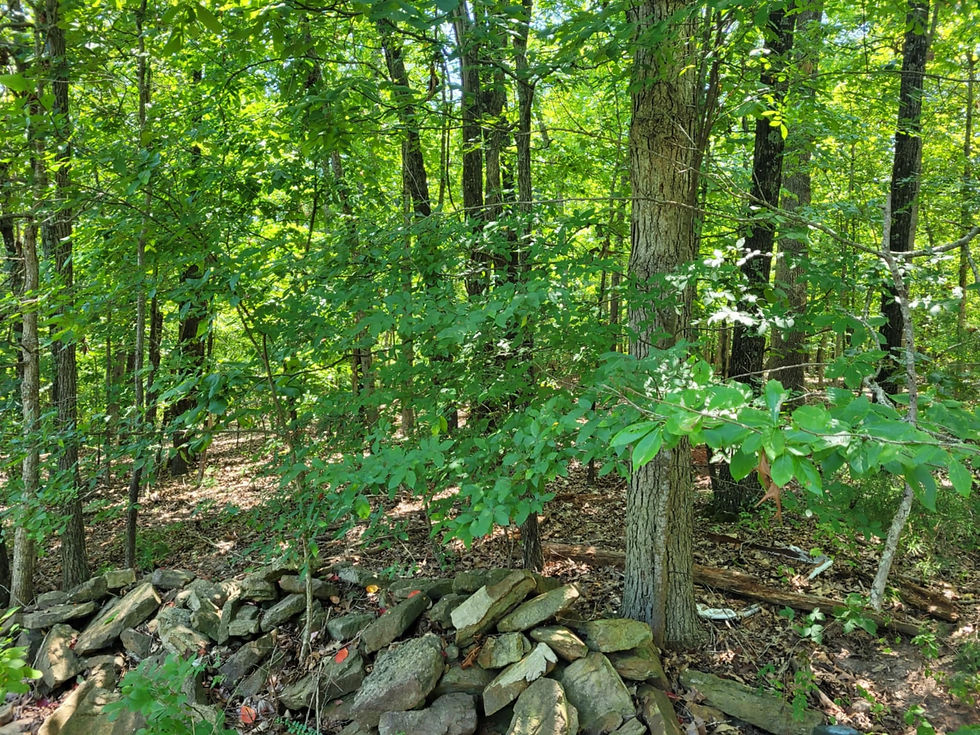 Thumbnail: 688-25760-000 688-25761-000 688-25762-000 KENT 188 187 186 TRIPLE LOT 0.62 ACRE
