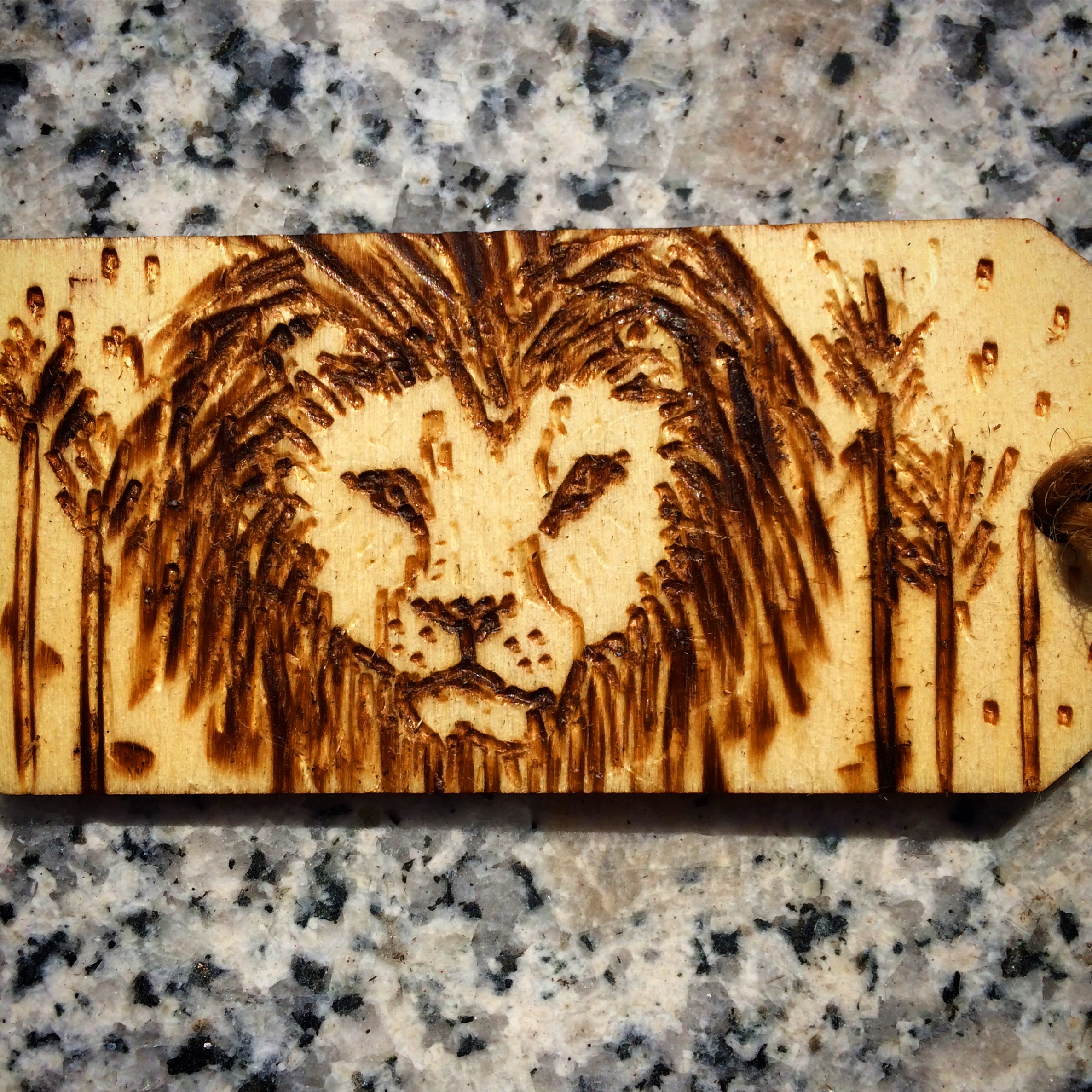 Lion