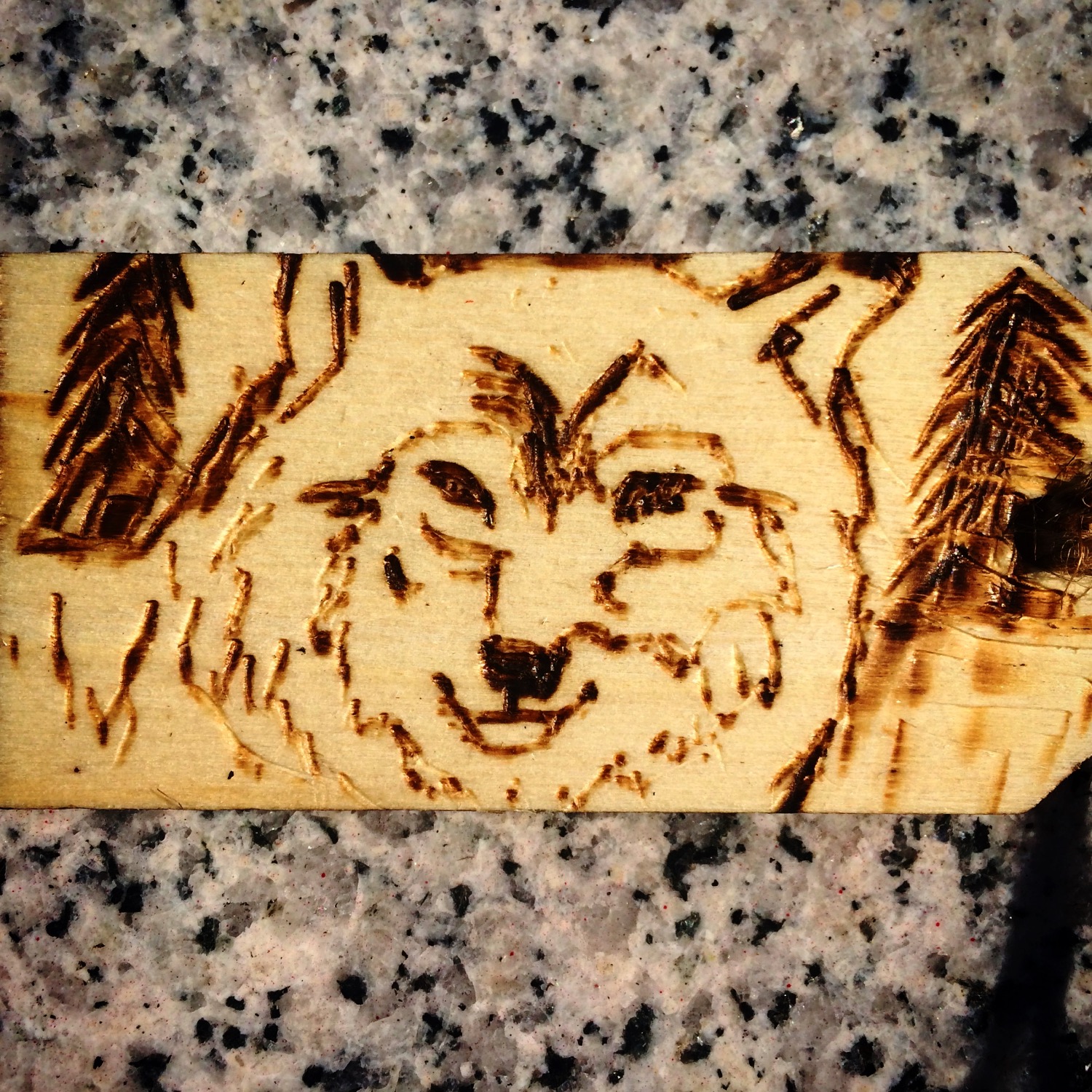 Wolf
