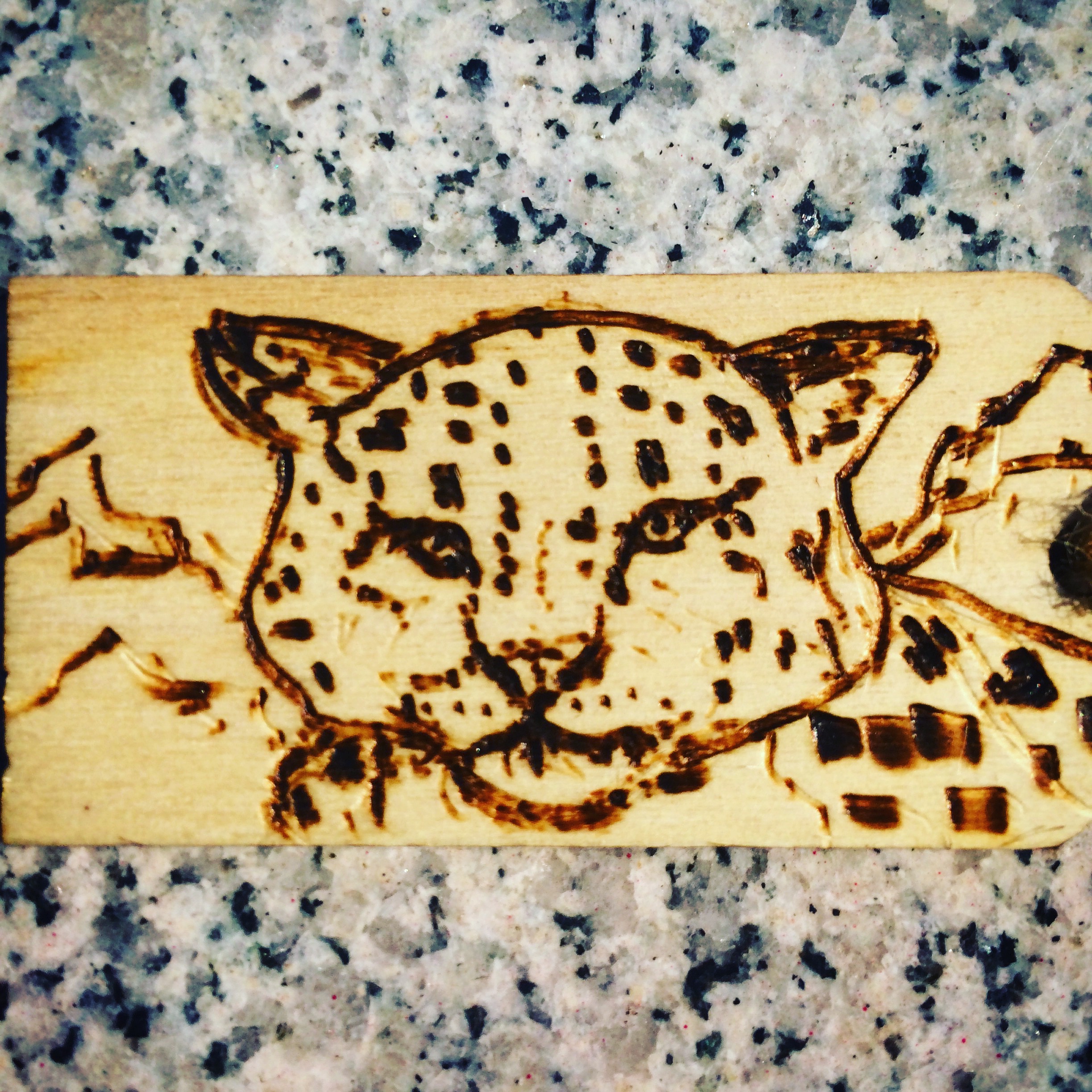Snow Leopard