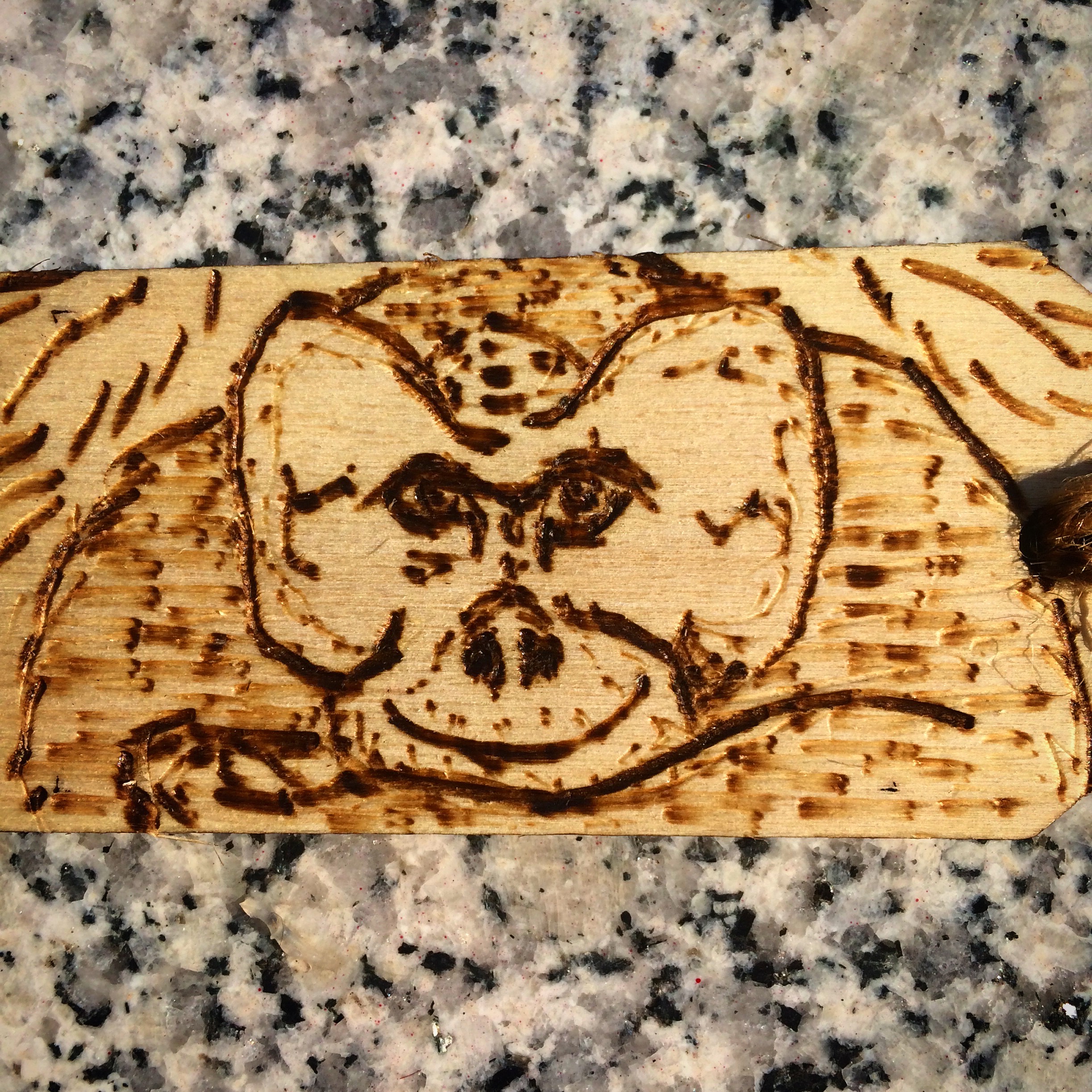 Orangutan