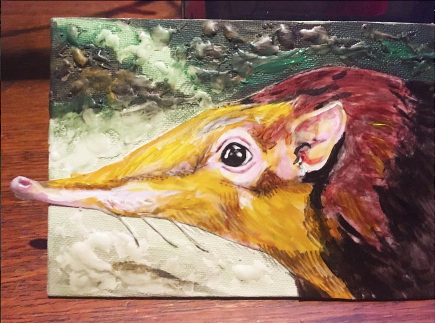 Fantastic Fauna: Elephant Shrew