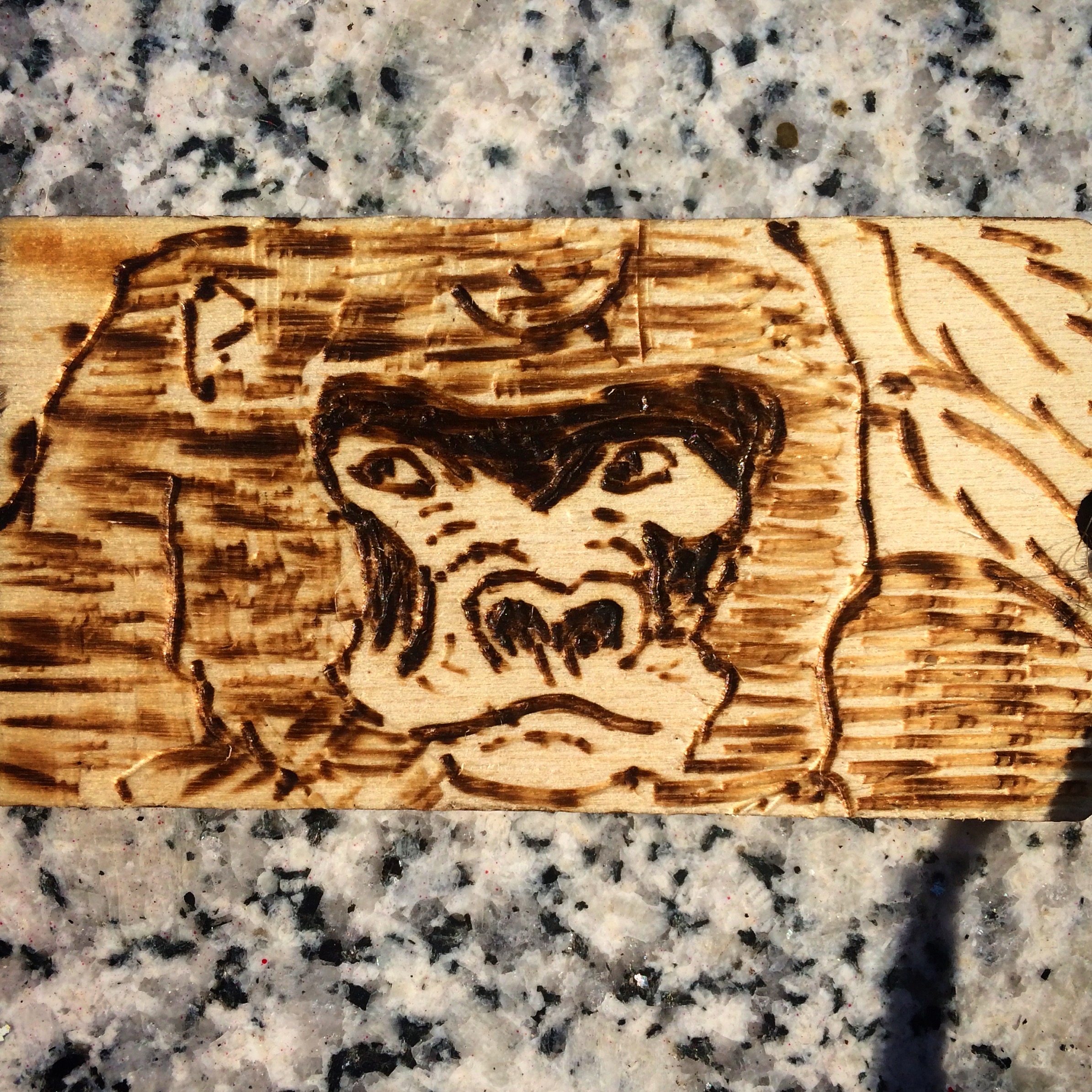 Gorilla