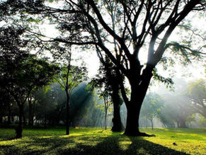 Settling down in Bangalore...