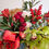 Thumbnail: Bewildering Christmas flowers