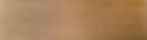 eastern white pine_best.jpg