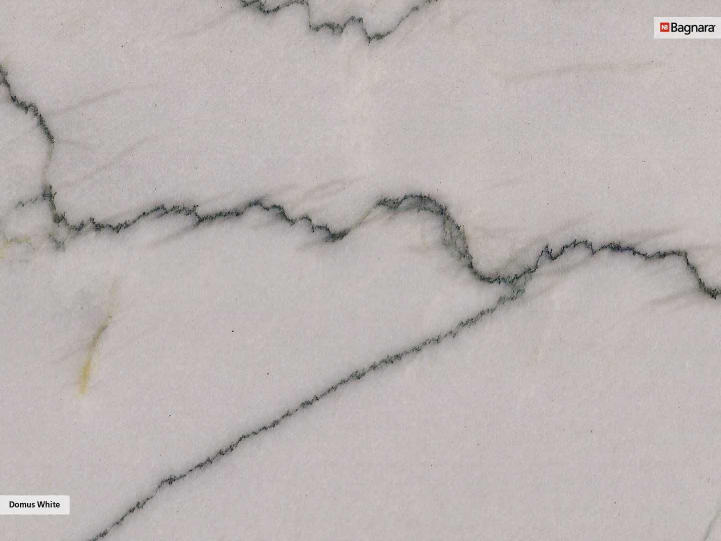 Domus White