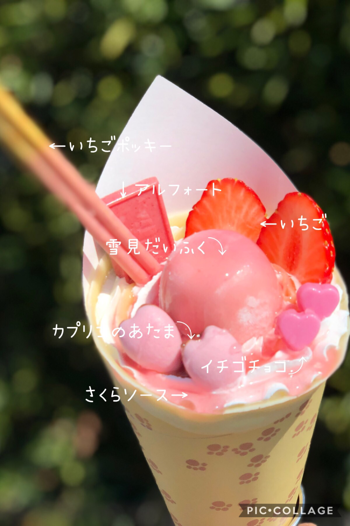 クレパ