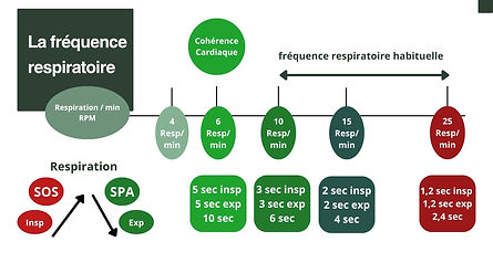 CC frequence respiratoire.jpg