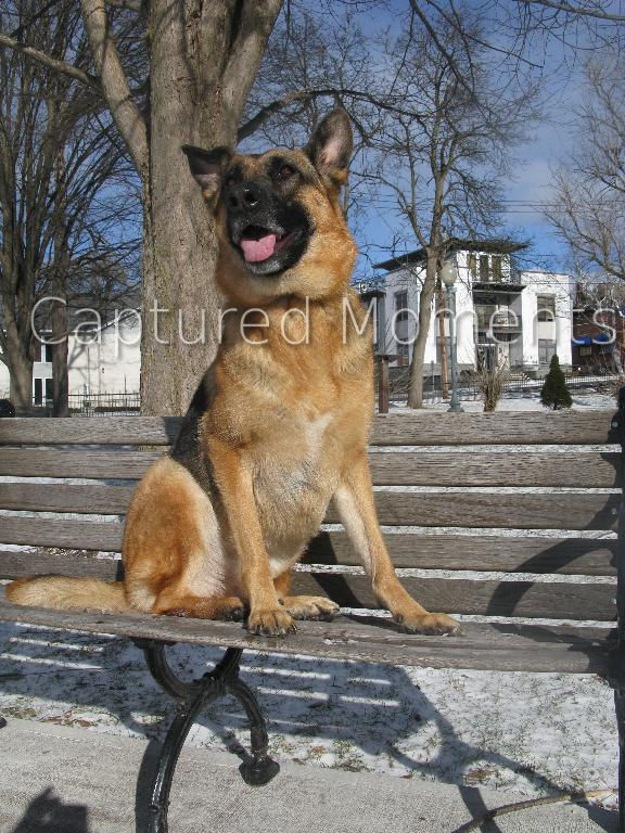 Roxy
