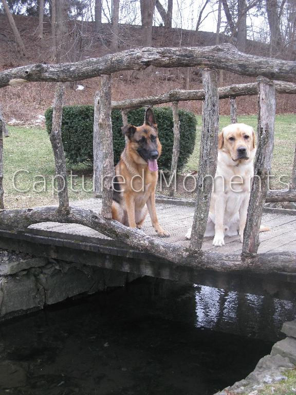 Roxy and Derek