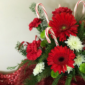 Christmas Candy Cane 9 $50 & Up