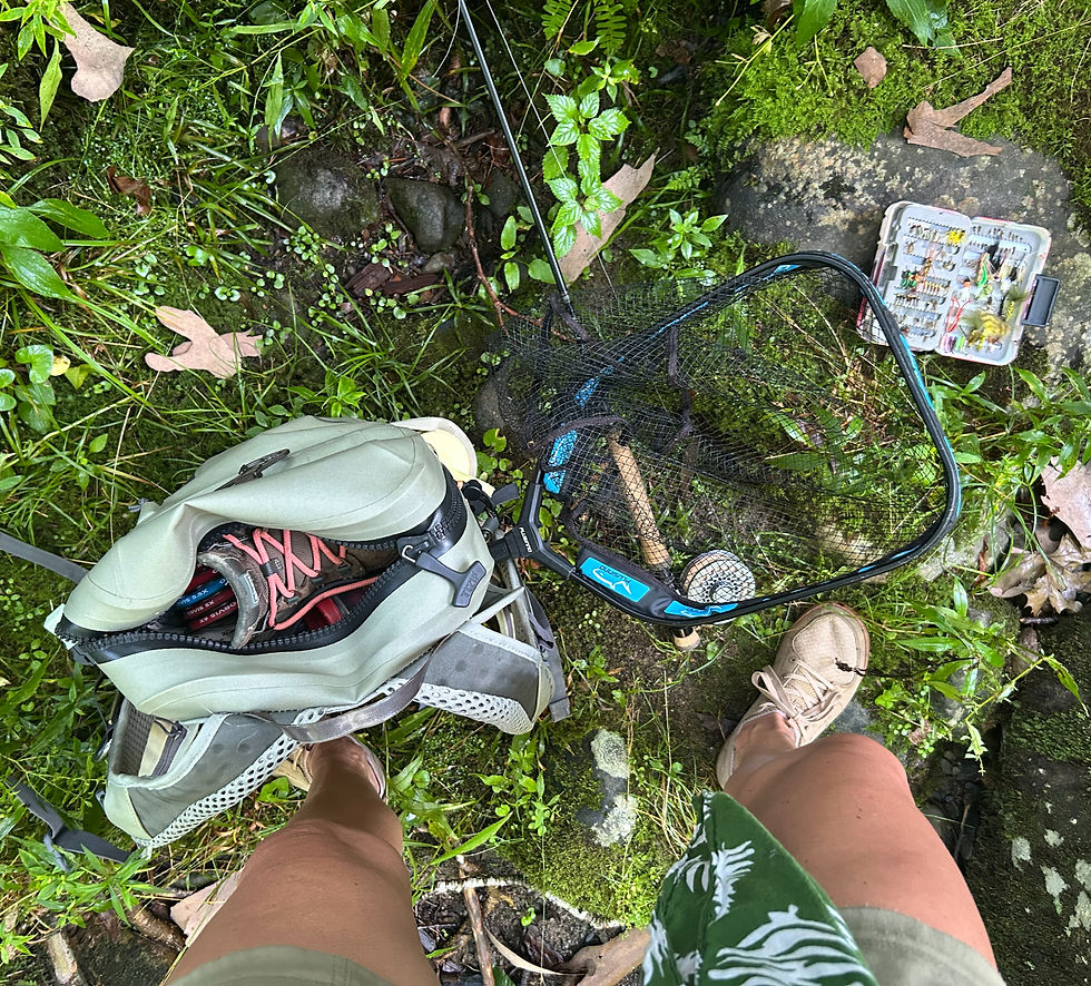 Field Notes #4