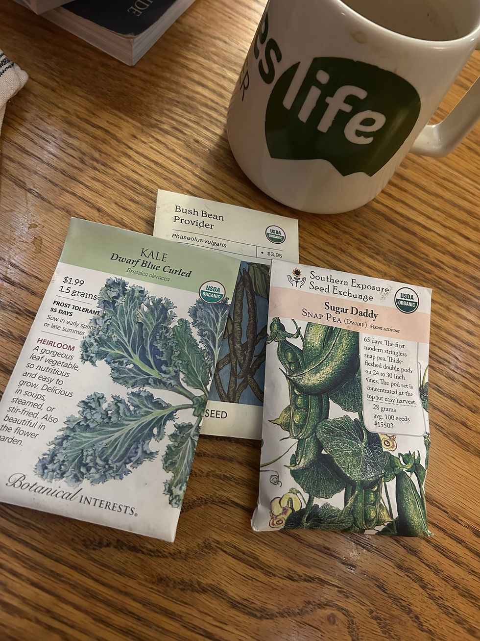 seeds kale sugar daddy bush beans