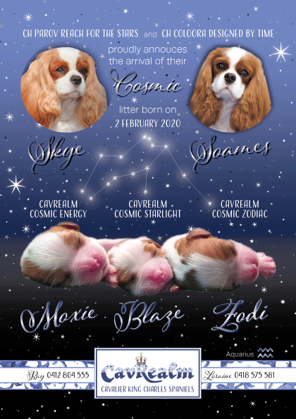 2020 Cosmic Litter Announcement Aquarius