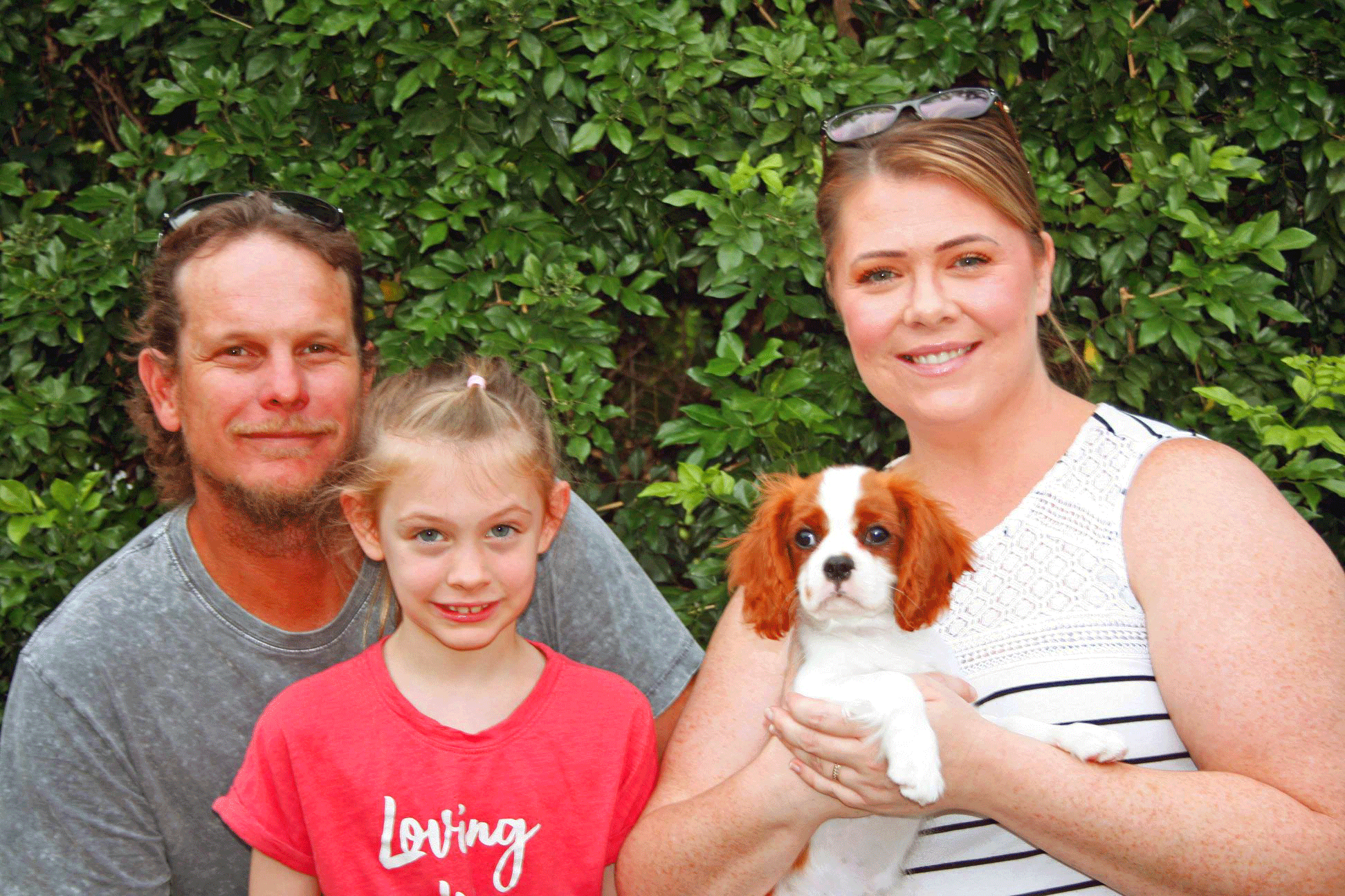 Cavrealm Cavalier Puppy Zodi with owner in Sunshine Coast Qld
