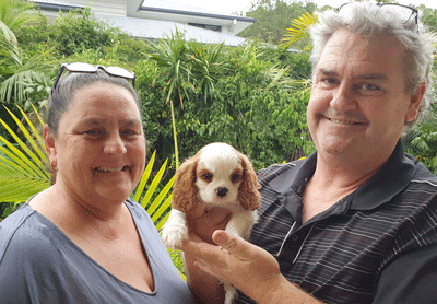 Cavrealm Cavalier Puppy Copper with owner in Sunshine Coast Qld