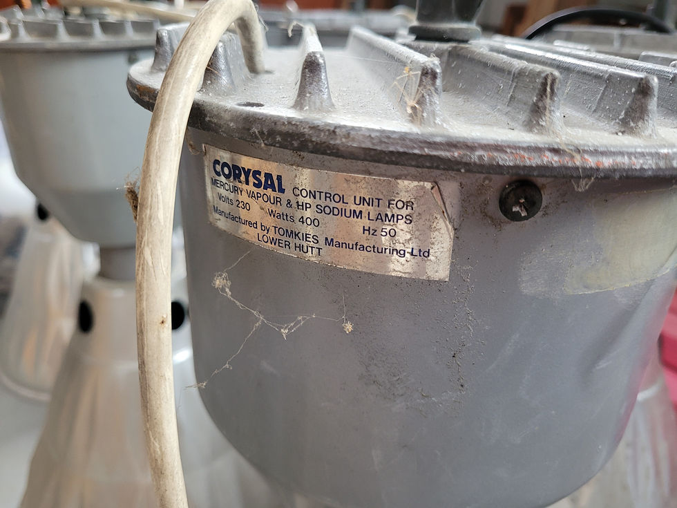 Thumbnail: Vintage Corysal Industrial lights and galleries 