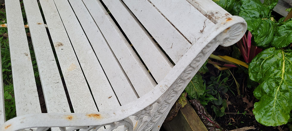 Thumbnail: Vintage ornate bench ended garden seat 