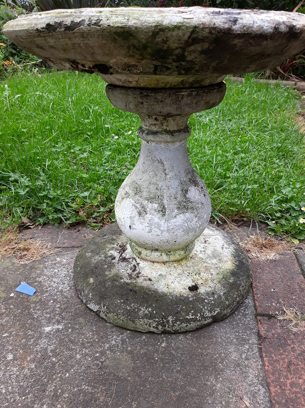 Thumbnail: VINTAGE concrete bird bath 