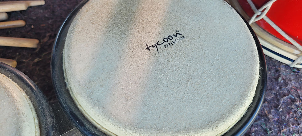 Thumbnail: Cool set of bongo drums 