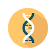 ADHD Is Largely Genetic Icon