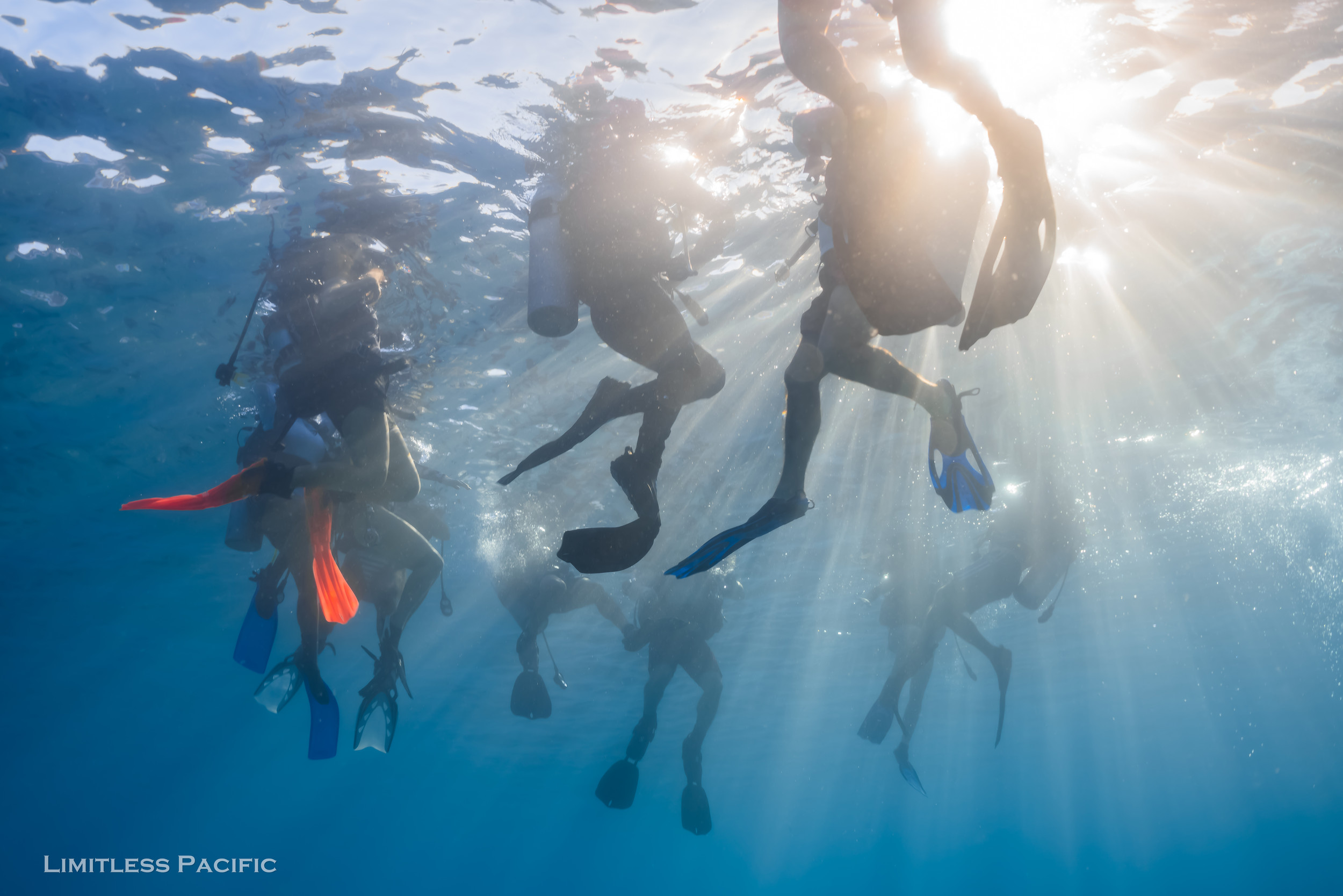 Sea Lancers Diving Club photo 1 in Ewa Beach
