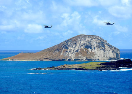 Kaohikaipu/Rabbit Island Dive Guide (Oahu East Shore)