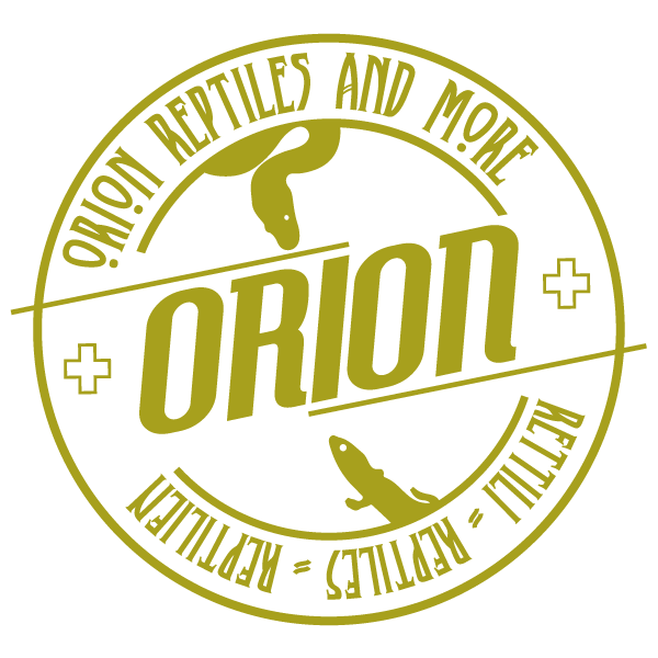 OR-Logo-madre-2023-colorato.gif