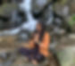 external-file_edited.jpg