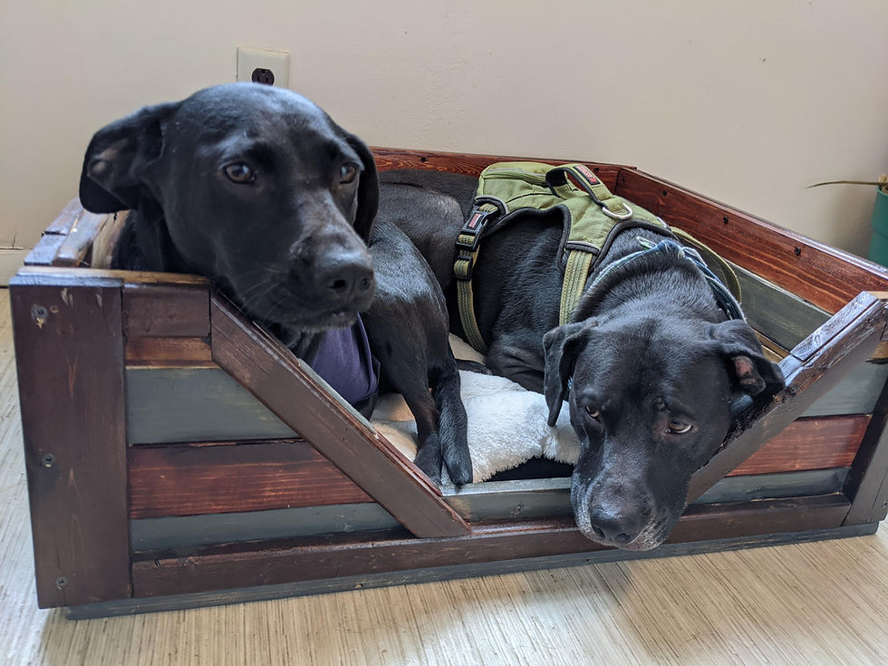 Thumbnail: Attractive handcrafted rustic dog bed frame made with reclaimed furring strips