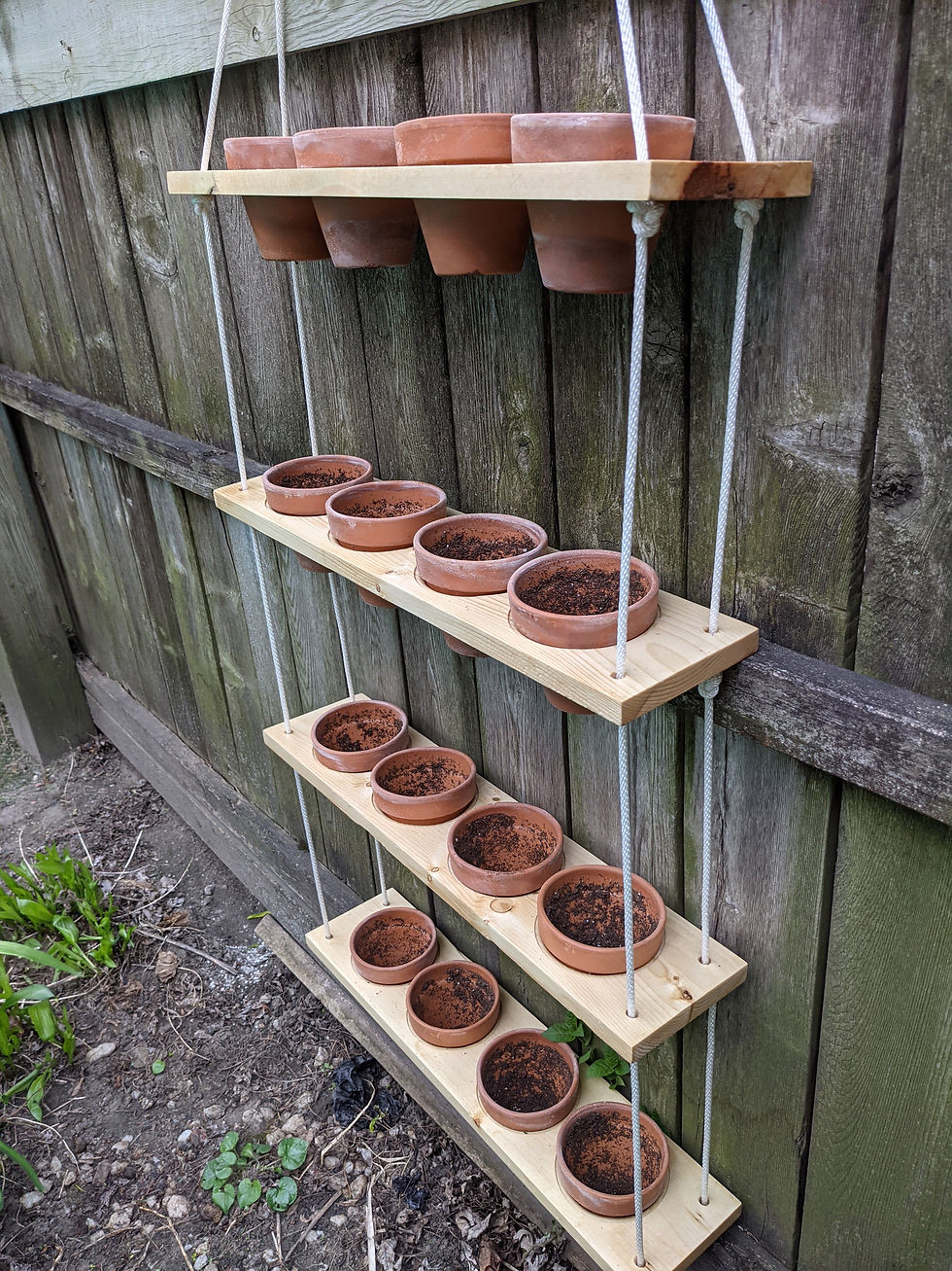 Thumbnail: Hanging Indoor Herb Garden