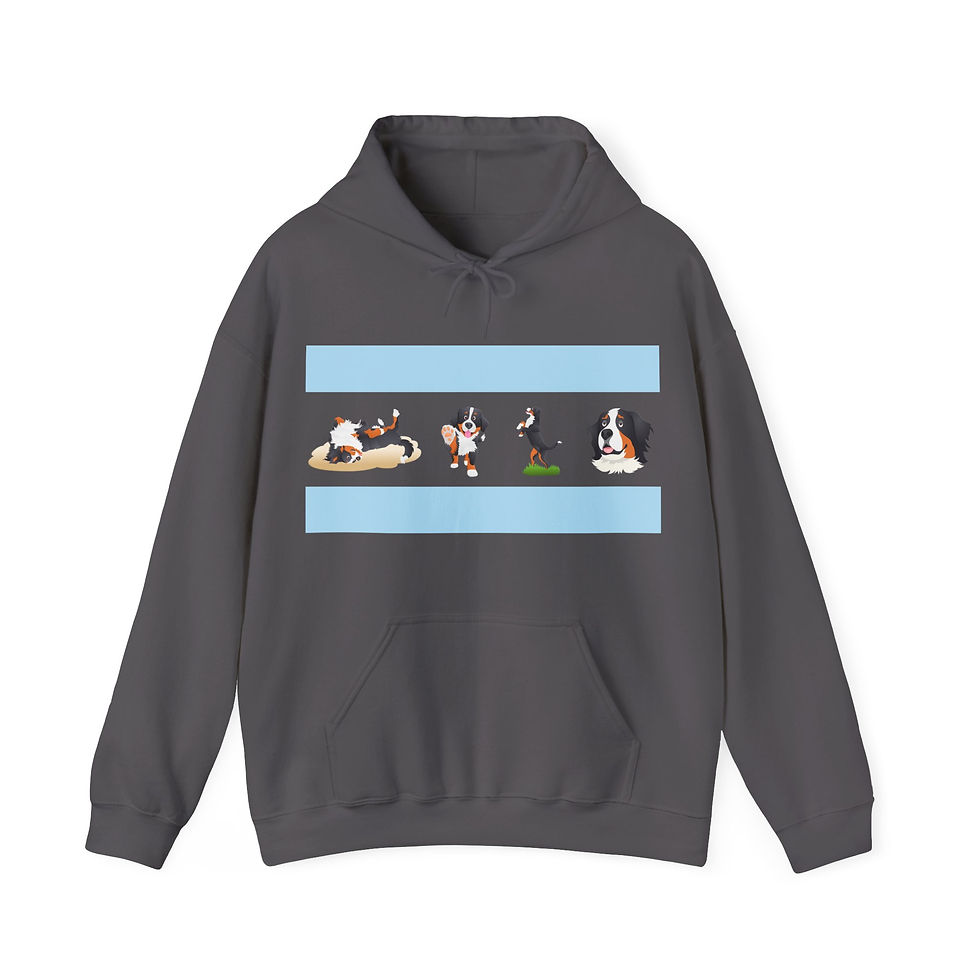 Thumbnail: Bernese Mountain Dog Chicago Flag Hoodie
