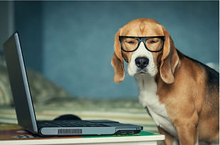 dogcpu.jpg